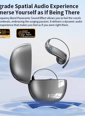 AI Translation Headphones Real Time Translator Earbuds