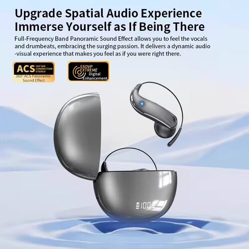 AI Translation Headphones Real Time Translator Earbuds
