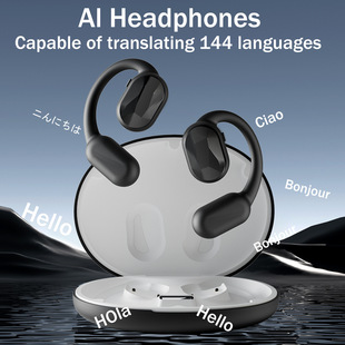Languages Translation Earphones Bluetooth Translator earbuds