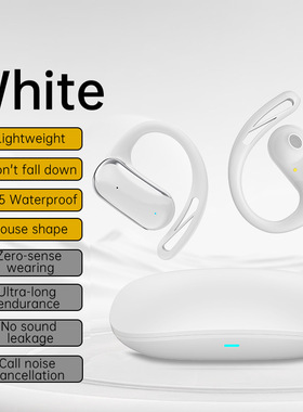 AI Languages Translator Earbuds  Language Translation