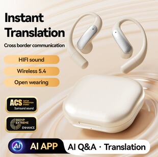 AI translator earphone Bluetooth earphone translate earbuds