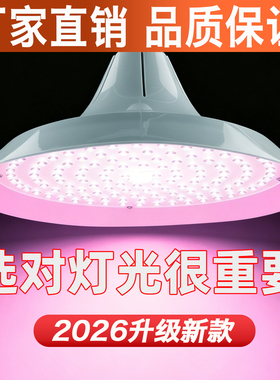 2026新款LED微红光照明灯超亮E27螺口节能省电暖黄光店铺商用灯泡