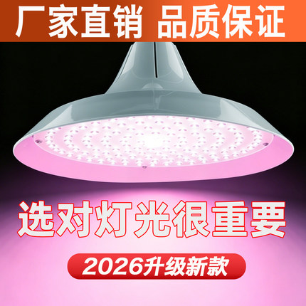 2026新款LED微红光照明灯超亮E27螺口节能省电暖黄光店铺商用灯泡