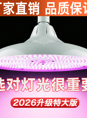 加大版LED白光灯微红超亮E27螺口节能灯大功率暖黄光室内照明灯泡