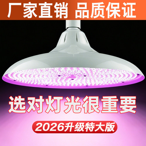 加大版LED白光灯微红超亮照明灯