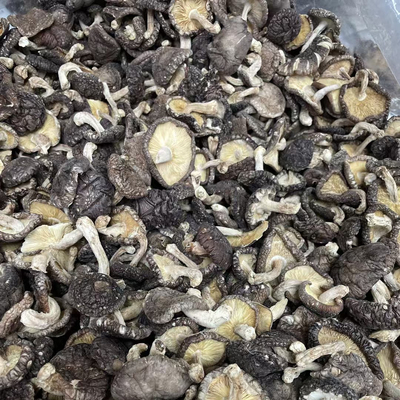 粤北干货特产 野生香菇 本地小脚花边菇 碳烤香菇 薄香菇500g
