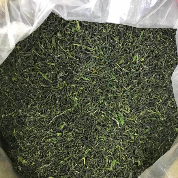 2026春茶乐昌湖洞香茶湖洞野山茶绿茶 野生茶叶 乐昌明前春茶