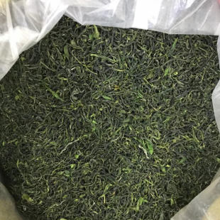 2026春茶乐昌湖洞香茶湖洞野山茶绿茶 野生茶叶 乐昌明前春茶