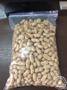 农家自种本地花生 新鲜粉衣晒干生花生 粒粒饱满可做花生种子500G