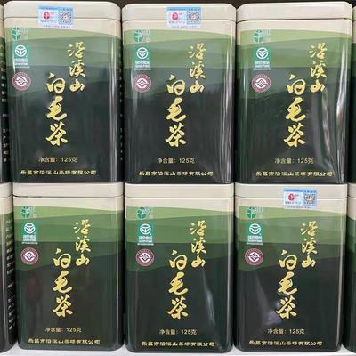 2023乐昌沿溪山白毛尖绿茶