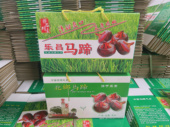 纸箱乐昌北乡马蹄标志礼盒箱五斤十斤装 抽绳空箱子盒子礼品盒
