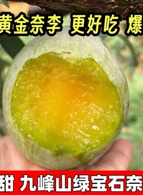 超甜广东乐昌九峰山绿宝石黄金青奈李子新鲜水果蜂蜜冰糖韶关特产