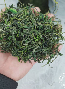 2026新茶乐昌沿溪山春茶散装白毛茶绿茶清香型乐昌茶叶绿茶