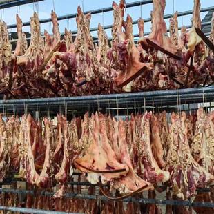 正宗乐昌北乡腊猪脚猪蹄整只农家土猪肉自然风干腊味粤北连州东陂