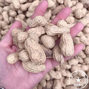 乐昌农家自种本地花生 翻秋花生 生花生 花生种子500G