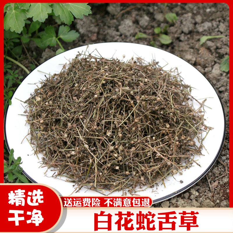 箐山白花蛇舌草中药材百花蛇舌草茶干货500g包邮另售半枝莲铁树叶
