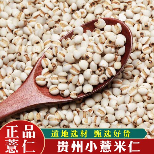 正宗贵州新货小薏仁500克包邮