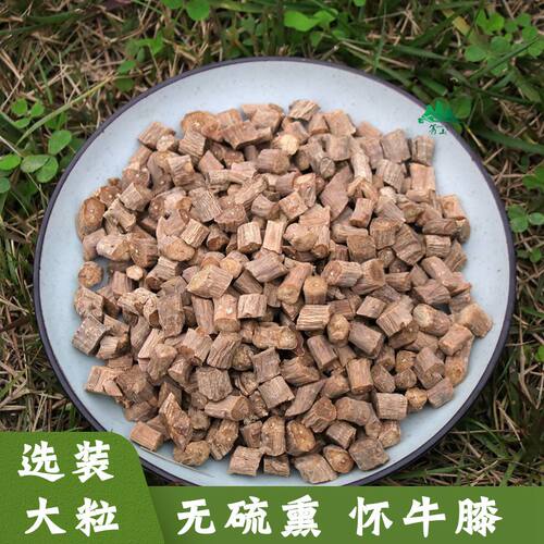 精选自然颜色怀牛膝中药材