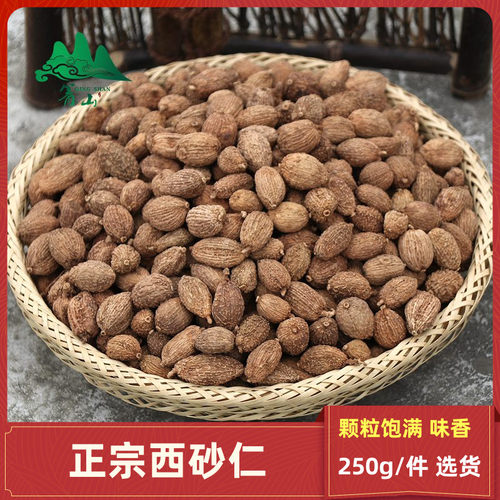 精选中药材西砂仁250克云南砂仁