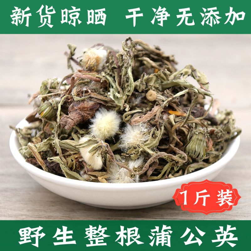 野生蒲公英带根干全草花茶非特级新鲜蒲公英整颗棵株婆婆丁500g