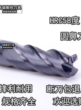 圆鼻刀HRC58度牛鼻R角铣刀模具钢/不锈钢这样圆鼻铣刀