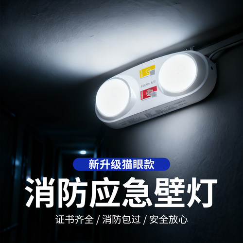 新国标IP65防水双头应急灯