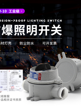 国标防爆照明开关SW-10铸铝防爆开关按钮10A220v380v控制器断路