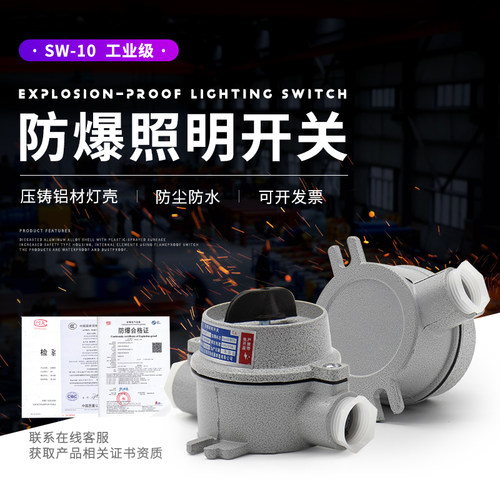 国标防爆照明开关铸铝按钮控制器