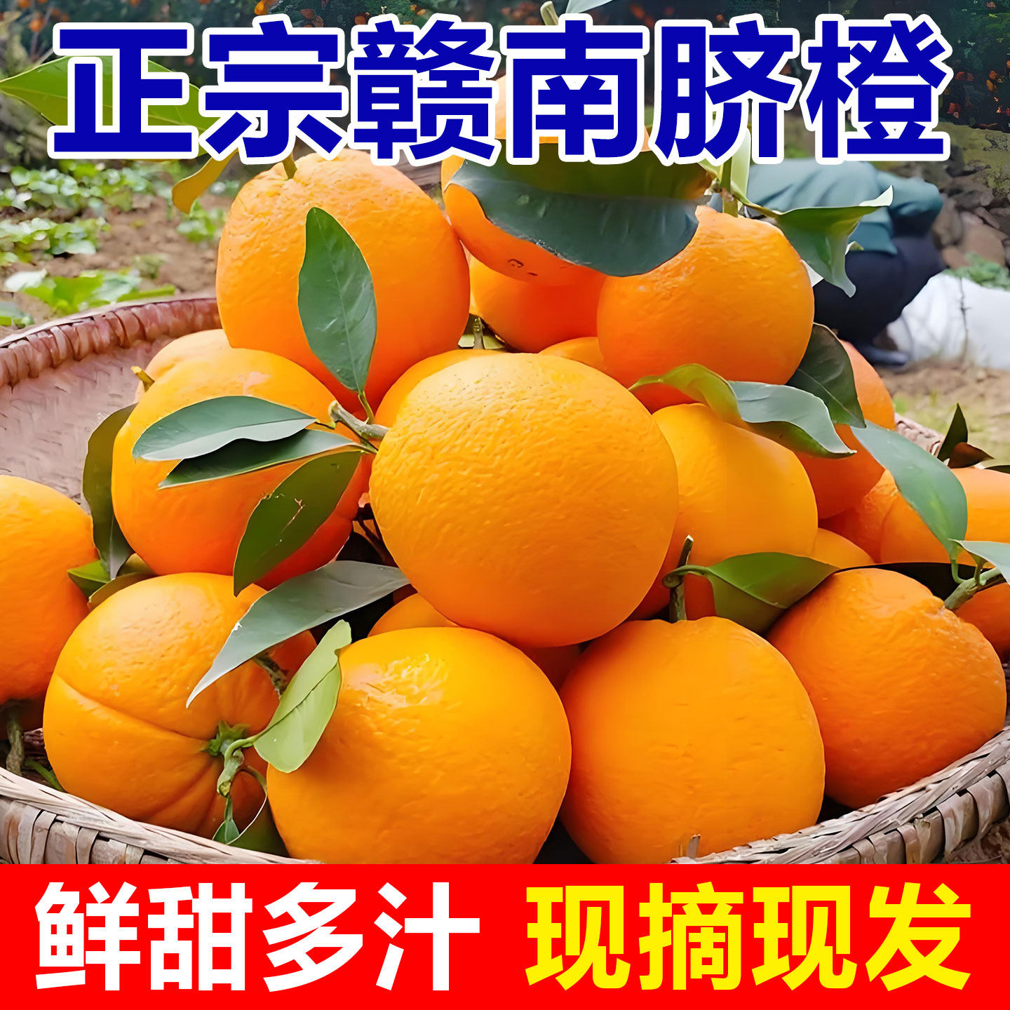 赣南脐橙正宗江西赣州橙子10斤大果当季新鲜水果产地直发20斤榨汁,水产肉类/新鲜蔬果/熟食,橙,淘宝优惠券,粉丝福利购,淘宝优惠卷