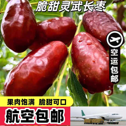 航空包邮【26年脆甜长枣】宁夏灵武长枣冬枣新鲜水果鲜枣子大枣子