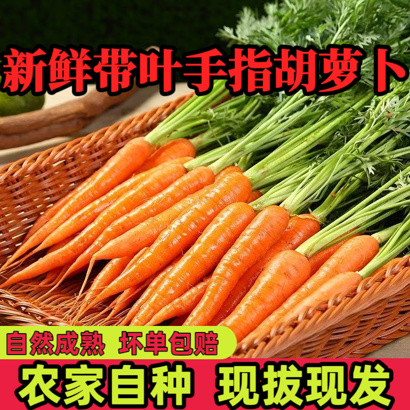 新鲜手指胡萝卜小红胡萝卜西餐食材小胡萝卜水果胡萝卜蔬菜沙拉,水产肉类/新鲜蔬果/熟食,萝卜/胡萝卜,淘宝优惠券,粉丝福利购,淘宝优惠卷