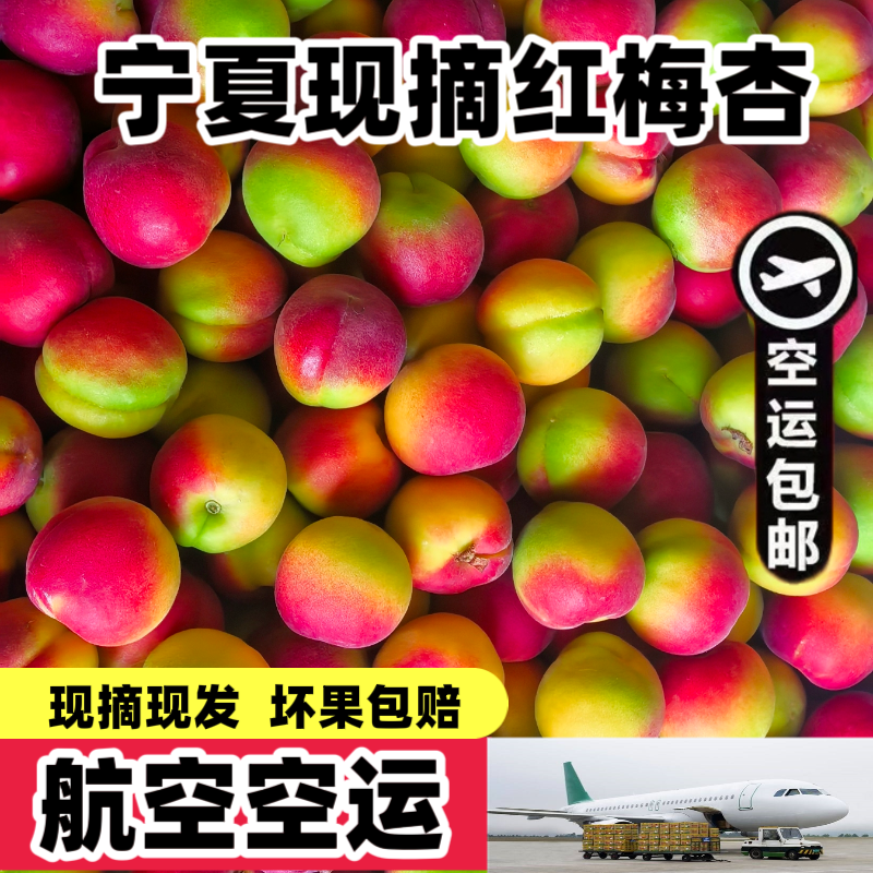 【EMS航空】宁夏红梅杏新鲜大红杏当季甜杏子酸甜杏现摘孕妇水果