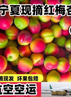 【EMS航空】宁夏彭阳红梅杏新鲜大红杏当季甜杏子酸甜杏现摘孕妇