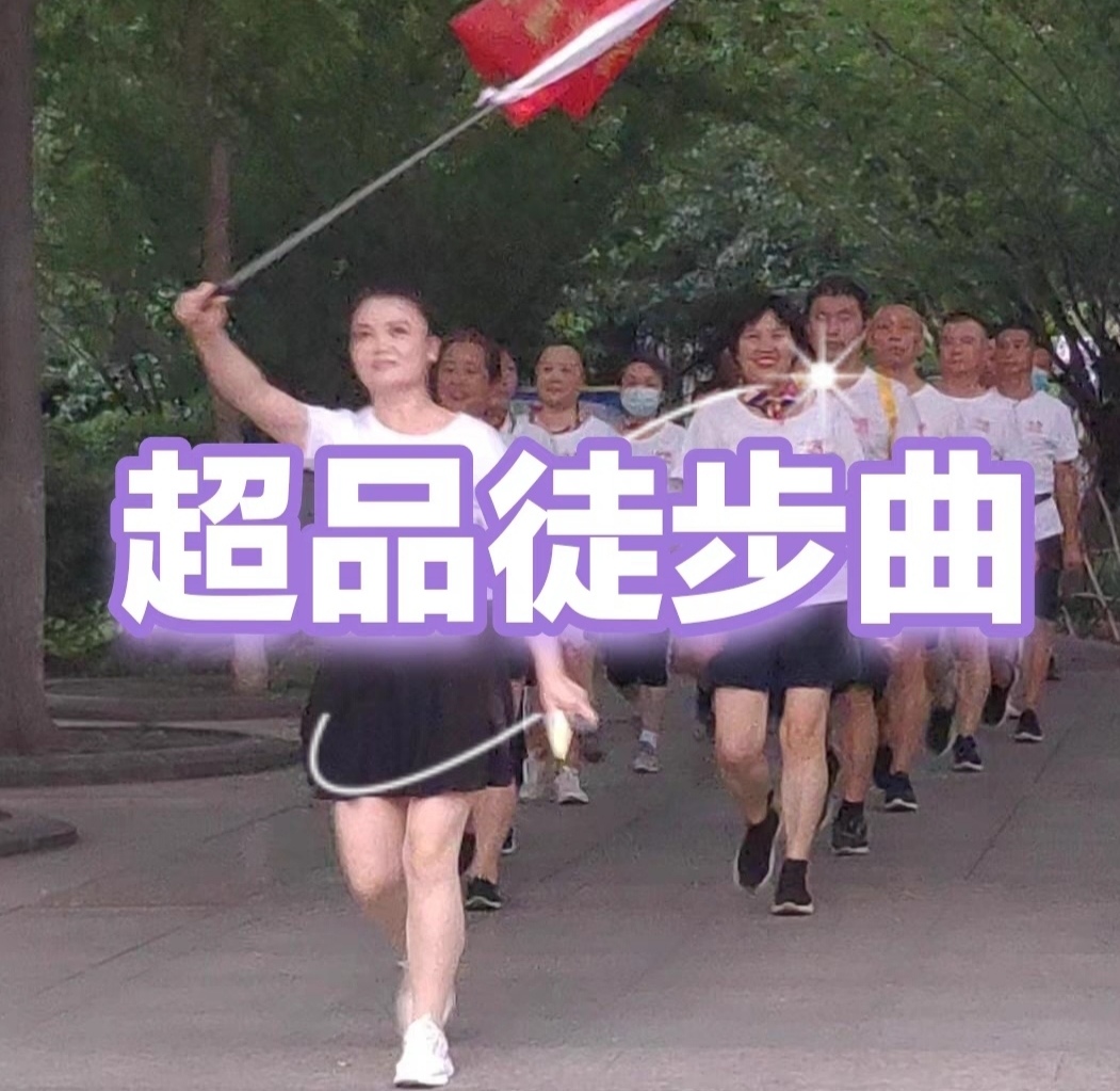 徒步情  2125 2126 超品徒步曲 纯音乐DJ无缝串烧 提供网盘下载