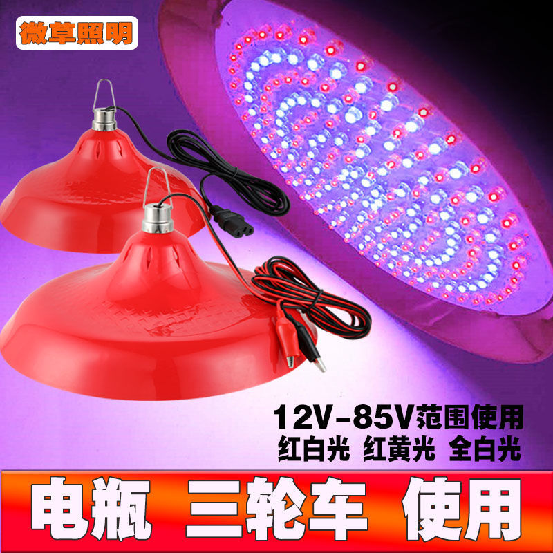 12V24V48V85V低压生鲜灯猪肉灯LED电瓶灯夜市摆摊灯水果灯红白光d