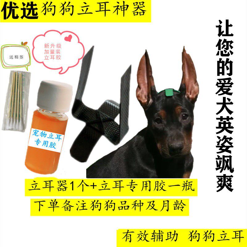 立耳器幼犬狗耳朵黑狼犬杜宾牧羊犬小狗狗矫正辅助立耳支架器d