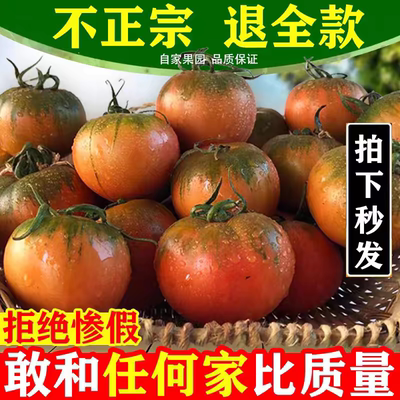 绿色食品达到有机铁皮柿子草莓西红柿新鲜自然熟柿子生吃水果番茄