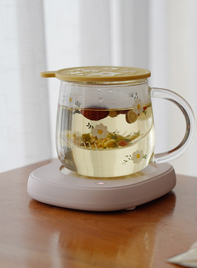 然而家 小清新玻璃茶杯带盖子茶水分离过滤泡茶杯办公室喝水杯子