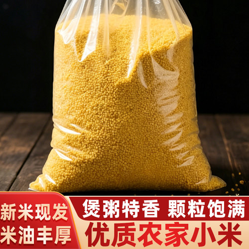 山东当季新粮油小米月子粥