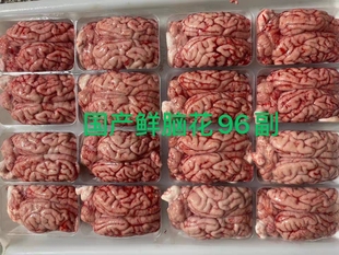 国产猪脑 猪脑花 猪脑新鲜 96幅11公斤火锅烧烤食材 猪脑即食