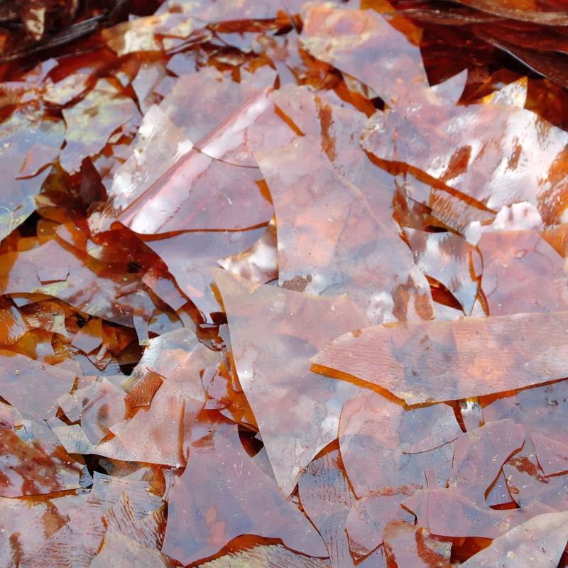 直销虫胶片紫胶漆片甲级紫胶漆片家具维修材料速溶工业用辅料包邮