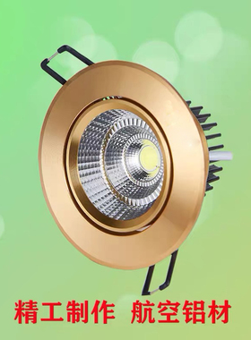 雷欧金色led射灯cob3W5W7W12W15W20W30W40W天花牛眼嵌入式客厅孔
