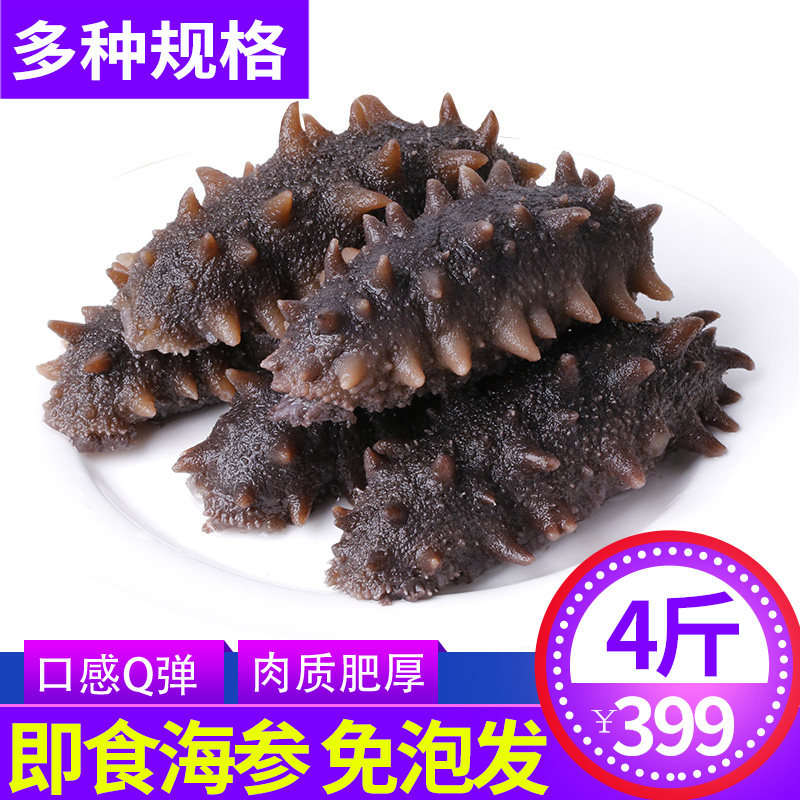 即食海参长月岛1斤4斤深海刺参鲜活加工非淡干劲道开袋速食辽宁