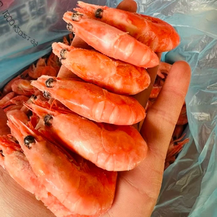 【大连发】皇冠格林兰岛北极虾90-110 8月份原箱10斤459.9有黑头