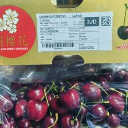 【天冷只发大连】甜樱花车厘子拉宾斯5斤3JD大樱桃