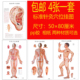 彩色人体经络穴位大挂图中医针灸挂图奇经八脉刮痧艾灸保健按摩耳