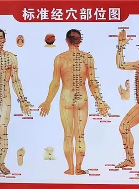 人体经络穴位图标准中医养生艾灸推拿按摩养生馆全身高清装饰大画