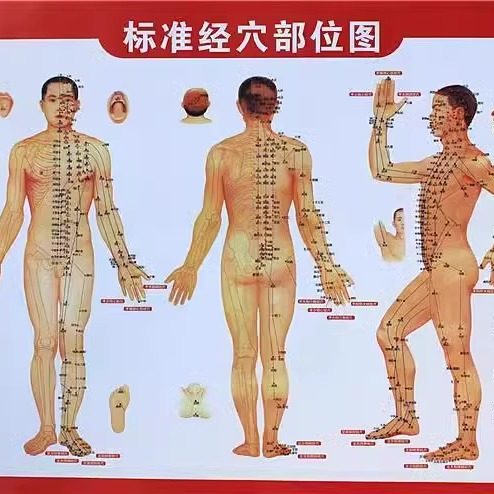 人体经络穴位图标准中医养生艾灸推拿按摩养生馆全身高清装饰大画