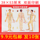 穴位图人体标准经男图女施灸取穴参考图艾灸中医按摩店养生挂图部