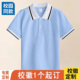 实验小学生浅蓝色校服一模一样 夏装 44纯棉男童短袖 t恤儿童POLO衫